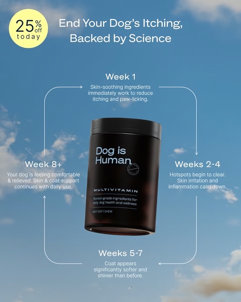 A 4:5 ratio educational infographic showcasing the time-based benefits of a dog multivitamin, from initial relief to long-term health improvements.
